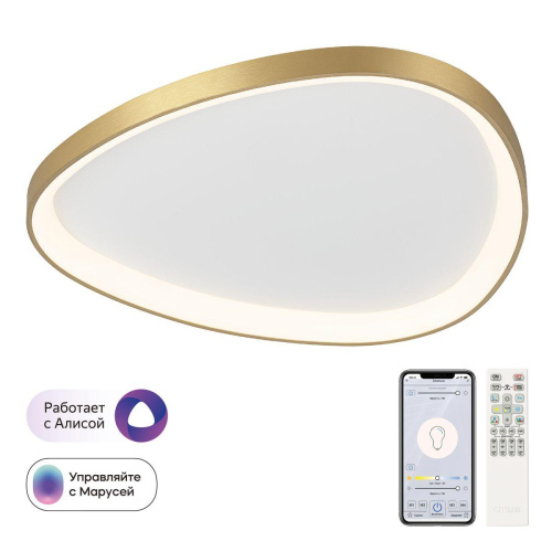 Потолочный светодиодный светильник Citilux Genka Smart CL756A162 Потолочный светодиодный светильник Citilux Genka Smart CL756A162