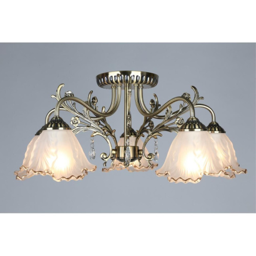 Люстра потолочная OML-54807-05 фото 4 Люстра потолочная OML-54807-05 фото 4