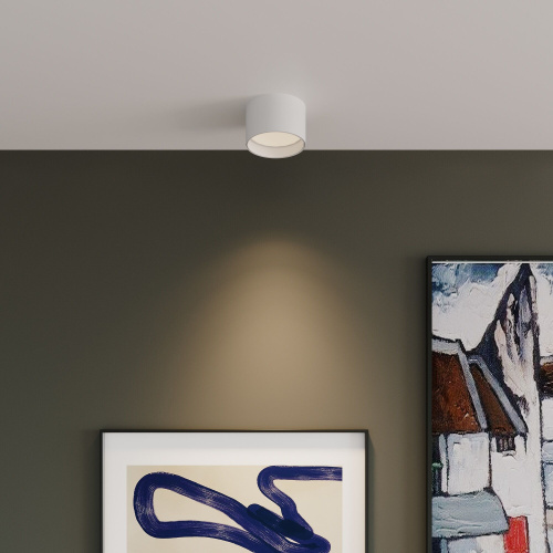 Накладной светодиодный светильник 25123/LED фото 4