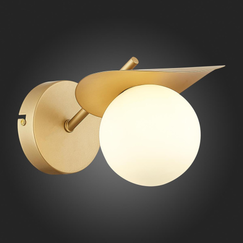 Бра Evoluce Bolzano SLE220501-01 фото 2