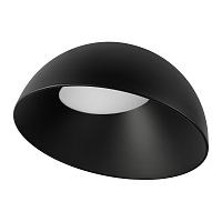 10197/500 BB  Потолочный светильник  LOFT IT Egg