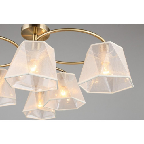 Люстра потолочная OML-65017-06 фото 6