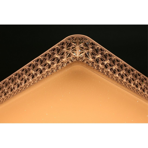 Люстра потолочная OML-47717-60 фото 2