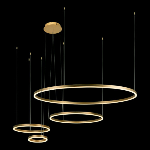 10017/4L Подвесной светильник LOFT IT Ring фото 4 10017/4L Подвесной светильник LOFT IT Ring фото 4