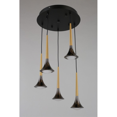 Люстра подвесная APL.784.06.05 фото 16