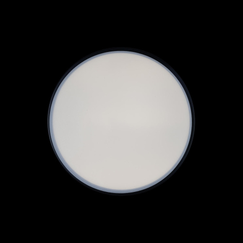 10002/12 Black Потолочный светильник LOFT IT Axel фото 4 10002/12 Black Потолочный светильник LOFT IT Axel фото 4