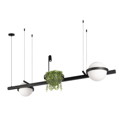 10121/D Подвесной светильник LOFT IT Jardin фото 5