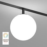 DK8051-BK Рассеивающий светильник SMART MOON 5W DIM 3000K-6000K, ?130мм, черный, акрил