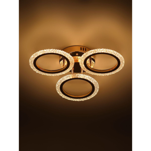 Потолочная светодиодная люстра Rivoli Evlalia 6178-703 Б0068399 фото 9