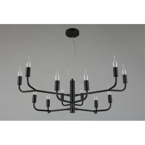 Люстра подвесная APL.338.13.12 фото 6