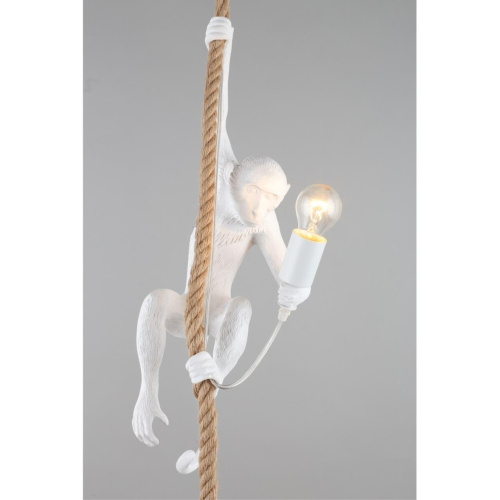 Светильник подвесной APL.309.06.01 фото 5