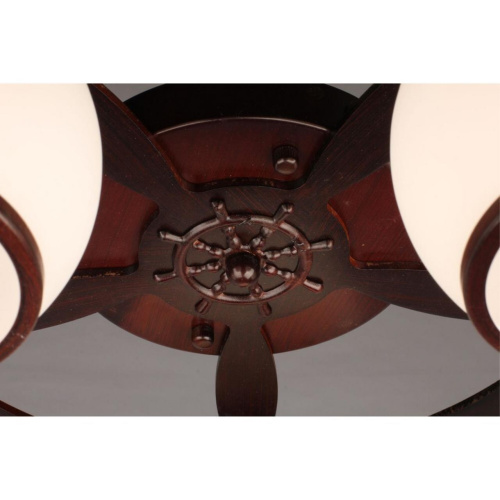 Люстра потолочная OML-50507-05 фото 4 Люстра потолочная OML-50507-05 фото 4