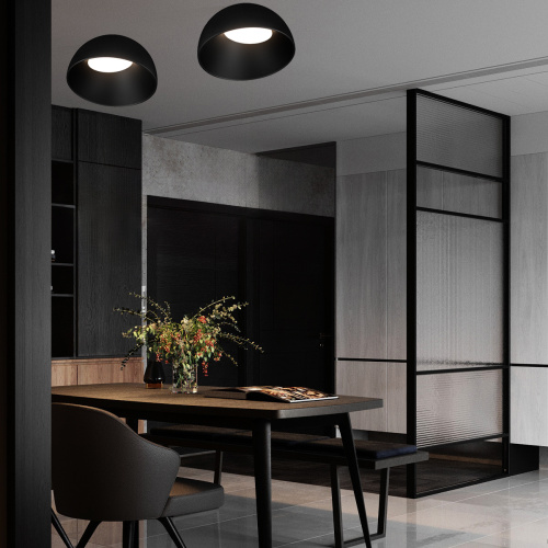 10197/500 BB Потолочный светильник LOFT IT Egg фото 7 10197/500 BB Потолочный светильник LOFT IT Egg фото 7