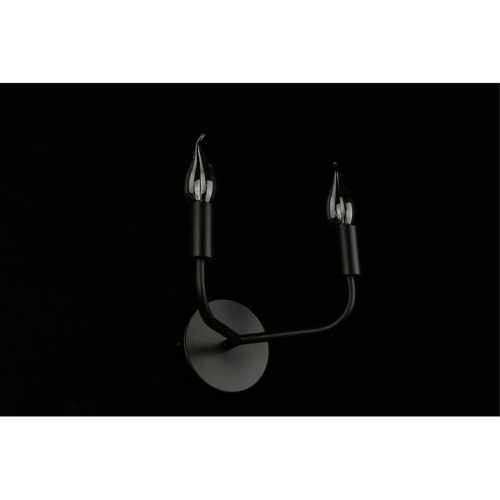 Светильник настенный (Бра) APL.338.11.02 фото 10