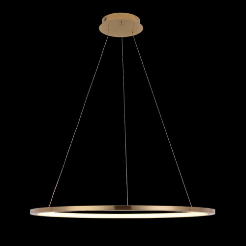 10014L Подвесной светильник LOFT IT Ring фото 4