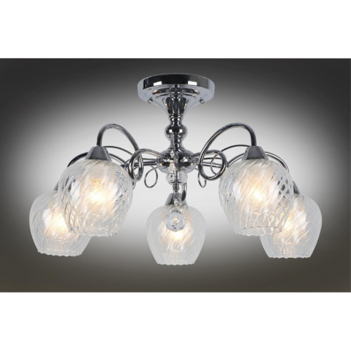 Люстра потолочная OML-53607-05 фото 3