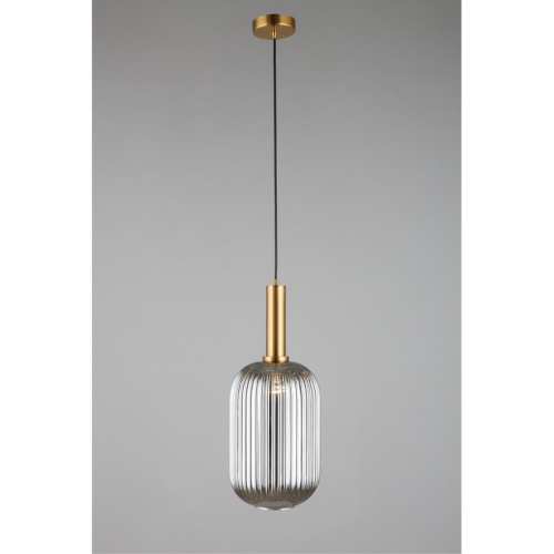 Светильник подвесной OML-99506-01 фото 4 Светильник подвесной OML-99506-01 фото 4