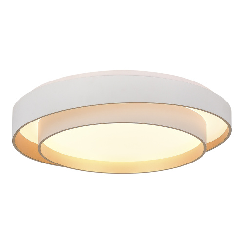 SLE6009-502-01 Светильник потолочный Белый/Белый LED 1*50W 3000K/4000K/6000K CROSBY фото 7