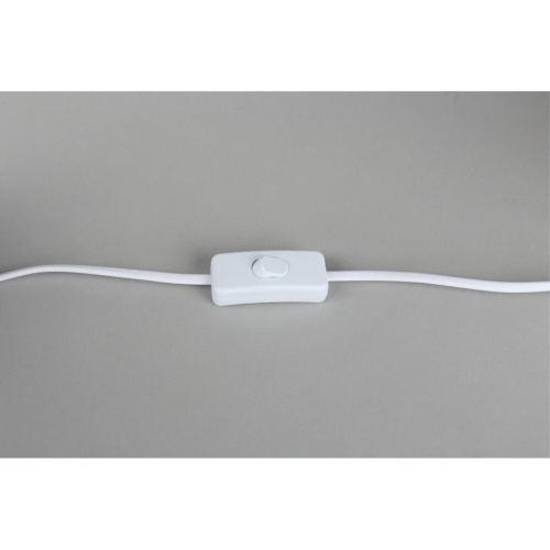 Настольная лампа OML-16404-01 фото 2 Настольная лампа OML-16404-01 фото 2