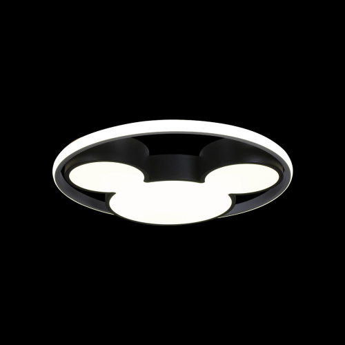 10165 Потолочный светильник LOFT IT Mike фото 3