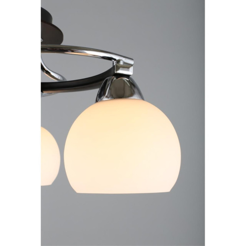 Люстра потолочная OML-25407-03 фото 6