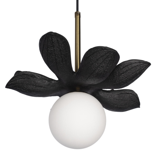 10213/B Black Подвесной светильник LOFT IT Monro фото 2 10213/B Black Подвесной светильник LOFT IT Monro фото 2