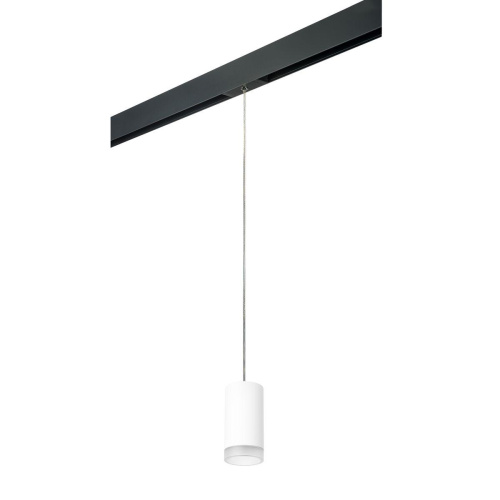 Комплект с трековым светильником Lightstar Rullo (214436+595857+202430) PRORP43630