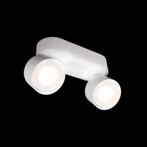 10323/2A White Накладной светильник LOFT IT Focus фото 3