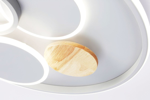 Потолочный светодиодный светильник Ambrella light Comfort LineTech FL4803 фото 6