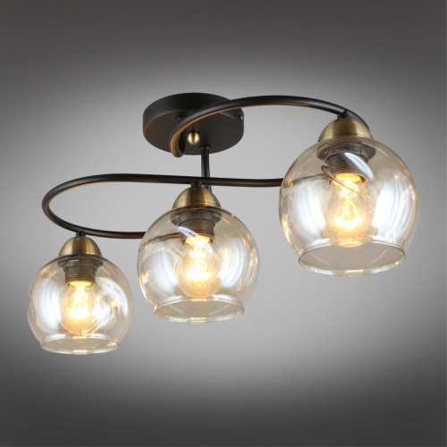 Люстра потолочная OML-95007-03 фото 3