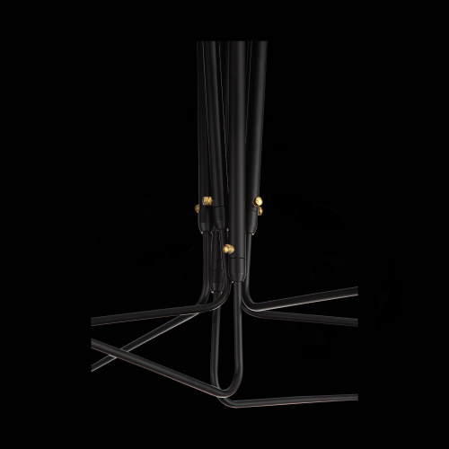 SL305.402.06 Люстра потолочная ST-Luce Черный/Черный, Белый E27 6*60W SPRUZZO фото 16