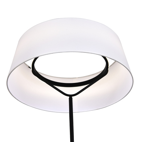 Напольный светильник 130001/1F LED*20W Black фото 3