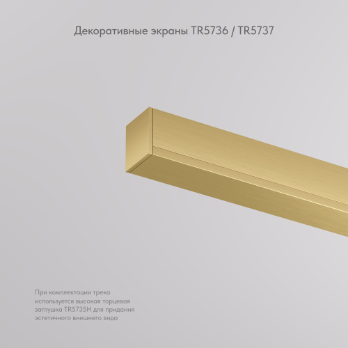 TR5737-SB Декоративная заглушка желоба трека, 50см, для трека Shine, серия Base, сатинированная латунь, алюминий фото 3