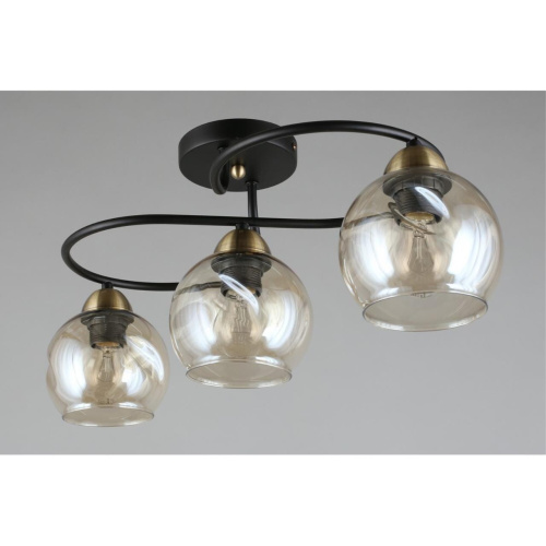 Люстра потолочная OML-95007-03 фото 6