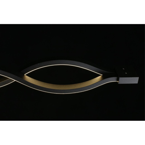 Светильник настенно-потолочный APL.002.12.36 фото 12 Светильник настенно-потолочный APL.002.12.36 фото 12