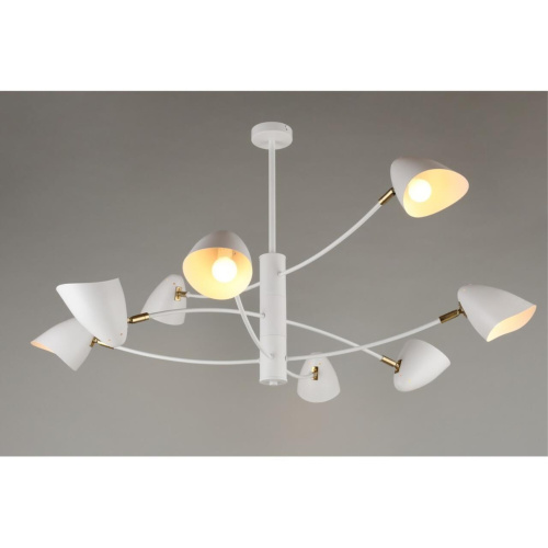 Люстра потолочная OML-29717-08 фото 5 Люстра потолочная OML-29717-08 фото 5