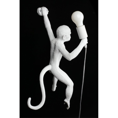 Светильник настенный (Бра) APL.309.01.01 фото 9