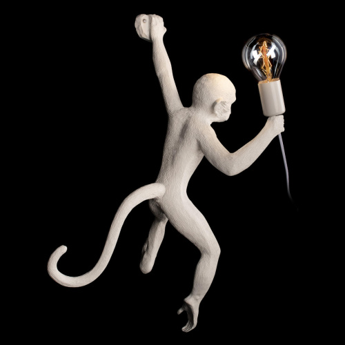 10314W/A Настенный светильник LOFT IT Monkey фото 5 10314W/A Настенный светильник LOFT IT Monkey фото 5