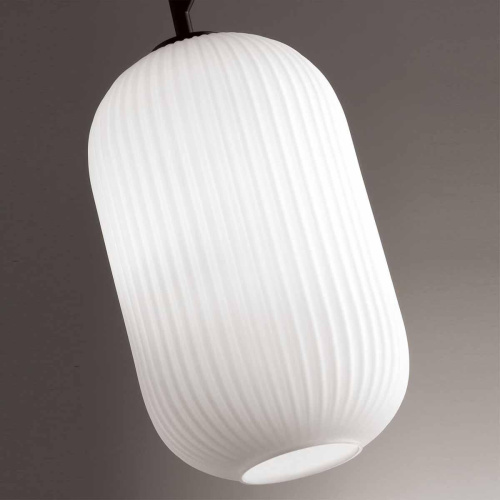 Подвесной светильник Odeon Light Pendant Roofi 4751/1 фото 4