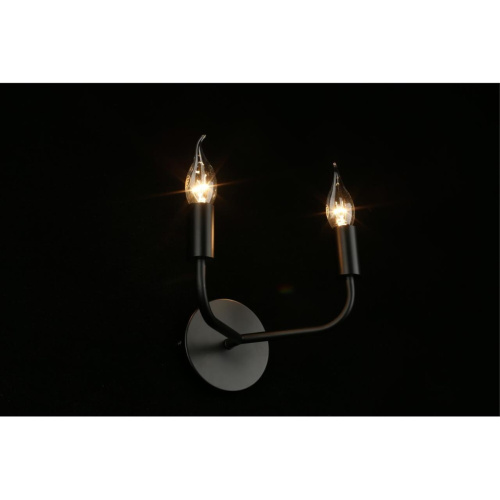 Светильник настенный (Бра) APL.338.11.02 фото 9