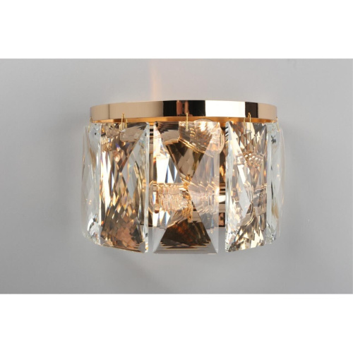 Светильник настенный (Бра) OML-72901-02 фото 3