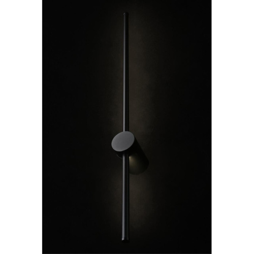 Светильник настенный (Бра) APL.0124.01.12 фото 9