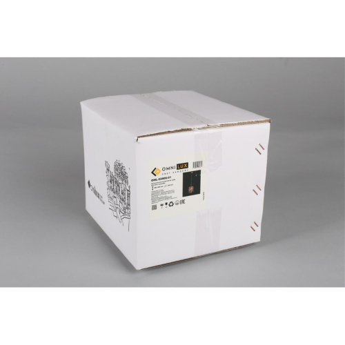 Светильник подвесной OML-52806-01 фото 2