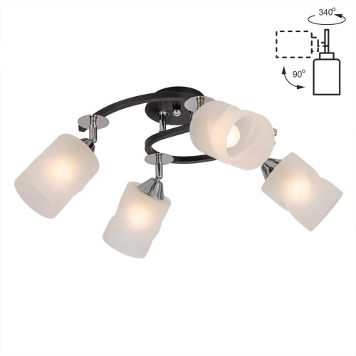 Потолочная люстра Citilux Сиерра CL119241 Потолочная люстра Citilux Сиерра CL119241