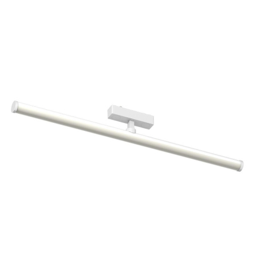 Светильник трековый APL.0121.10.20