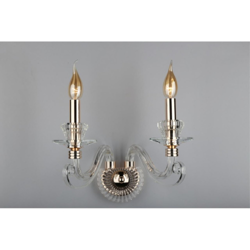 Светильник настенный (Бра) OML-79201-02 фото 3