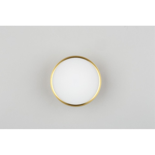 Светильник встраиваемый-накладной OML-100929-12 фото 6 Светильник встраиваемый-накладной OML-100929-12 фото 6