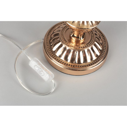 Настольная лампа OML-75404-01 фото 5