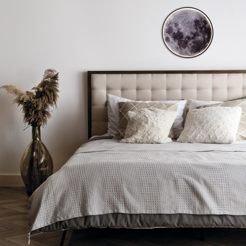 Настенно-потолочный свет Escada 10226/SG LED*43W Mars фото 5