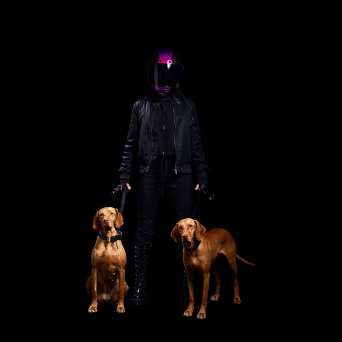 Ошейник Dog Collar Steel фото 7